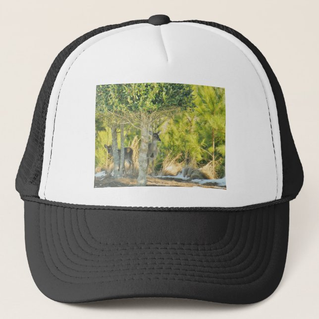 Deer in the snow trucker hat (Front)