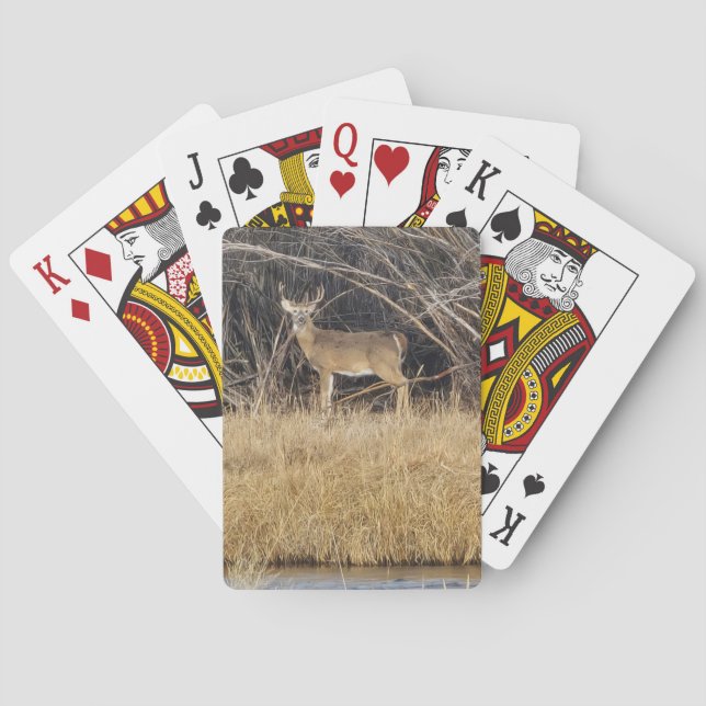 Deer in the Thicket Playing Cards (Back)