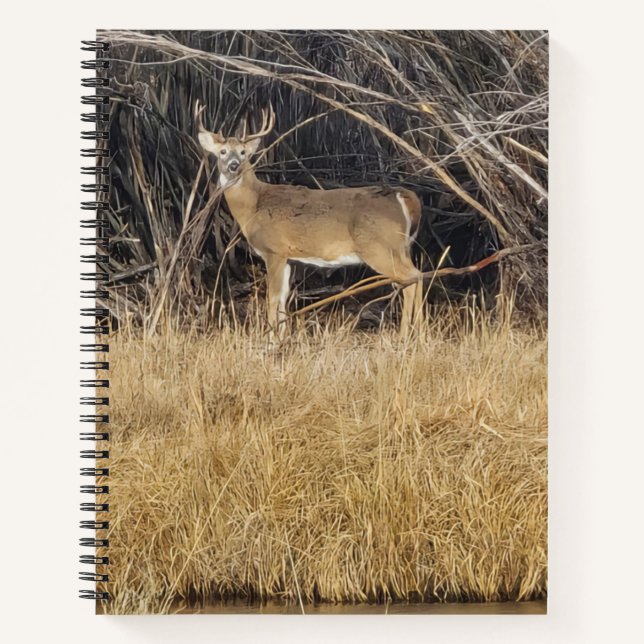 Deer in the Thicket Spiral Notebook (Front)