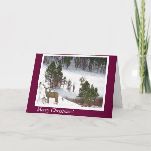 Deer in the Woods Card