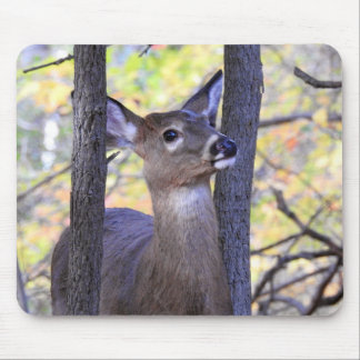 Deer in The Woods Mouse Pad
