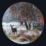 Deer in Winter Classic Round Sticker<br><div class="desc">Original by Jan Tik: http://www.flickr.com/photos/jantik/308709862/</div>