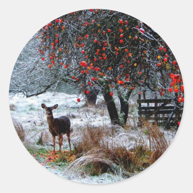 Deer in Winter Classic Round Sticker (Front)
