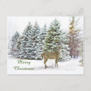 Deer in Winter Wonderland Merry Christmas Postcard