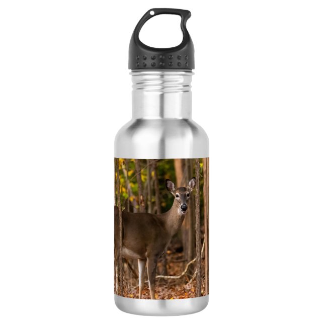 Deer in Woods 532 Ml Water Bottle (Front)