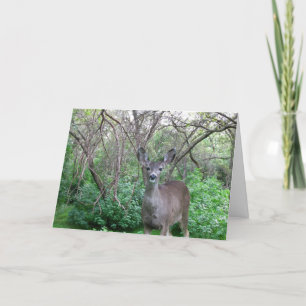 Deer in Woods Get Well Soon Card