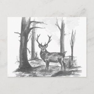 deer in woodsgif postcard