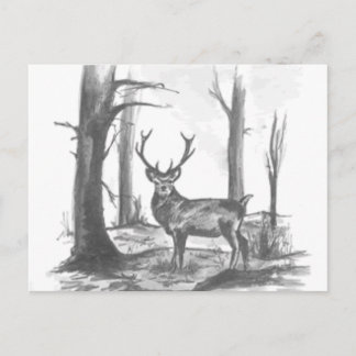 deer in woodsgif postcard