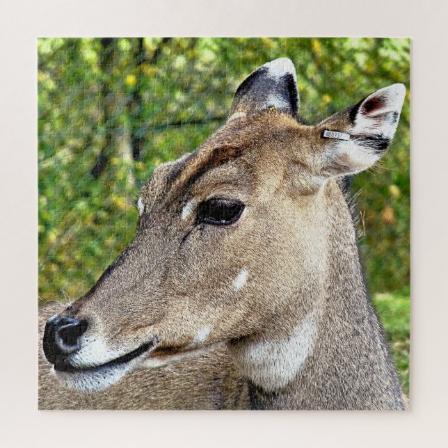 DEER JIGSAW PUZZLE (Vertical)