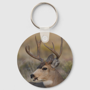 deer keychain