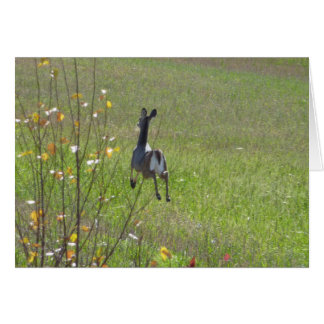 Deer leaping
