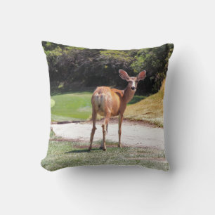 deer looking at camera photograph throw pillow