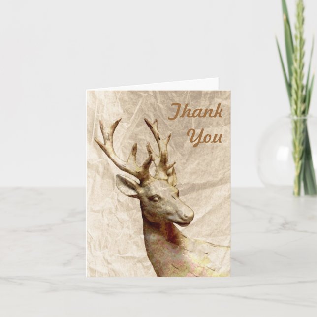 Deer Merci (Devant)