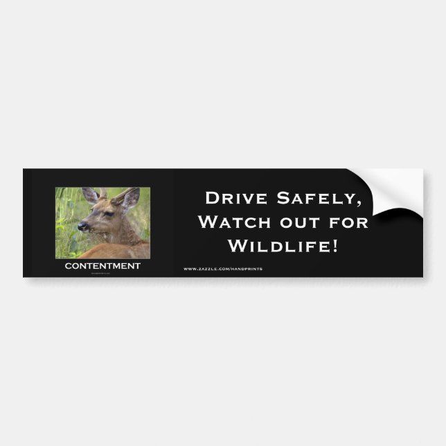 Deer Motivational Gifts Bumper Sticker (Front)