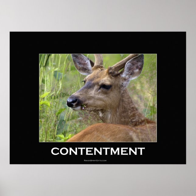 Deer Motivational Poster (Front)