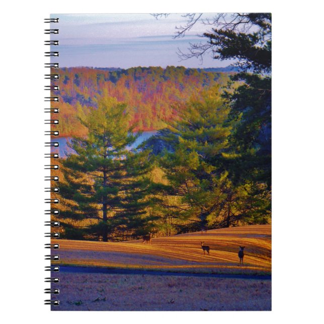 Deer & Mt. Lake Notebook (Front)
