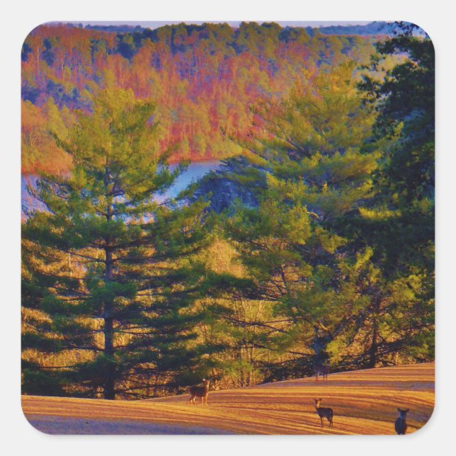 Deer & Mt. Lake Square Sticker (Front)
