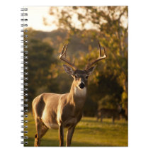 Deer Notebook / Journal