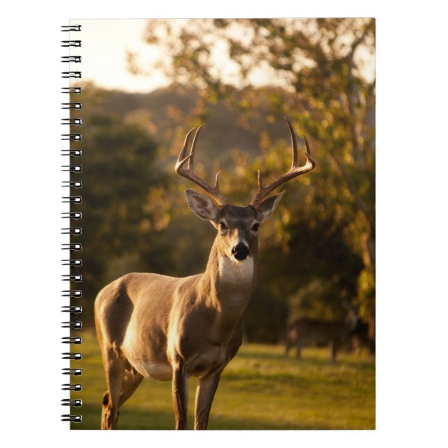 Deer Notebook / Journal (Front)