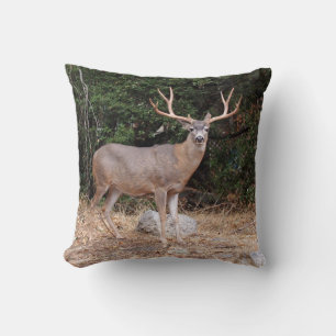 Deer on a Pillow