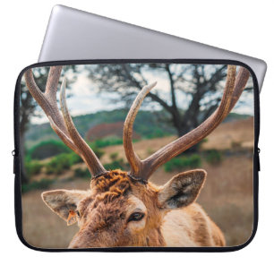 DEER ON BROWN GRASS FIELD UNDER GRAY CLOUDY SKY LAPTOP SLEEVE