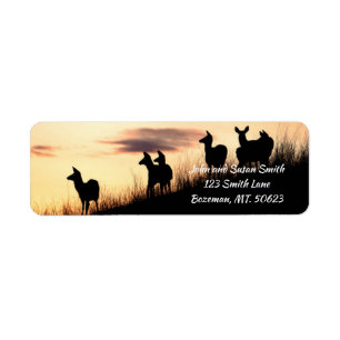 Deer on Hillside at Sunset Retours Adresse Étique