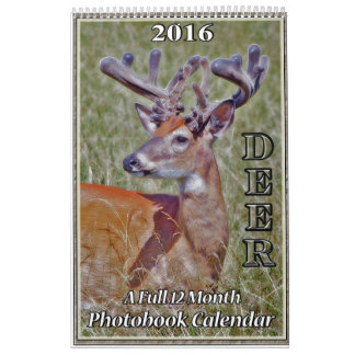 Deer Photo Book Calendar2 Calendar