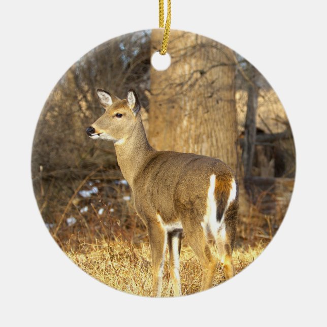 Deer Photo Ornament  (Front)