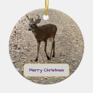 Deer Photo Ornament