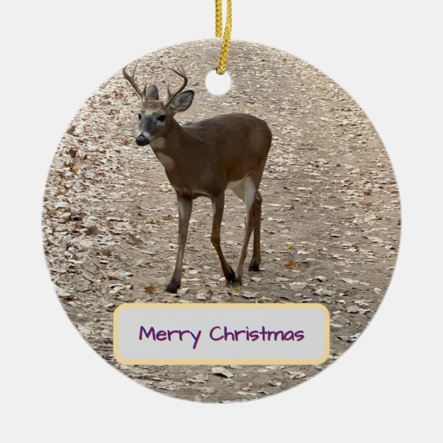Deer Photo Ornament (Front)