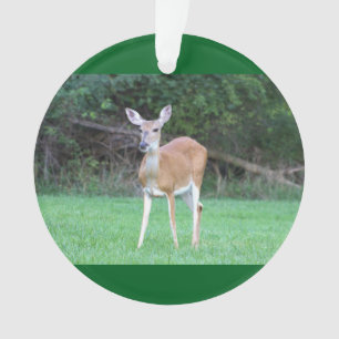 Deer Photo Ornament 