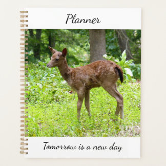 Deer Planner