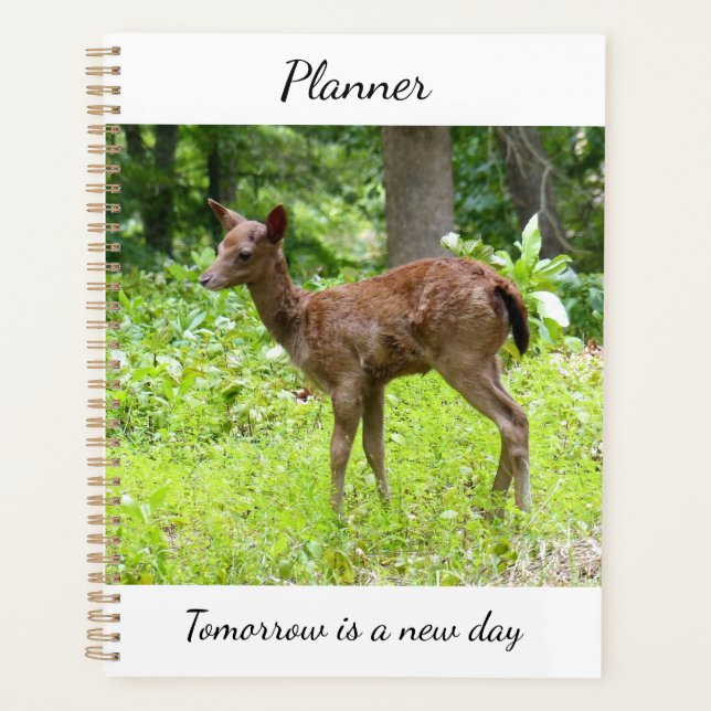Deer Planner (Devant)