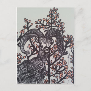 Deer Postcard