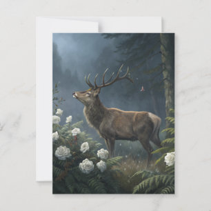 Deer Postcard