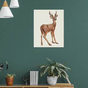Deer Poster