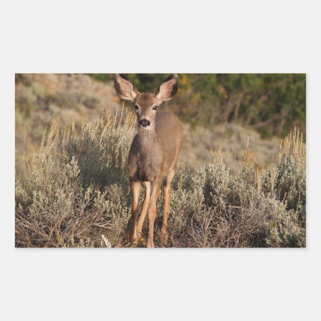 Deer Rectangle Sticker (Front)