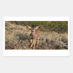 Deer Rectangle Sticker