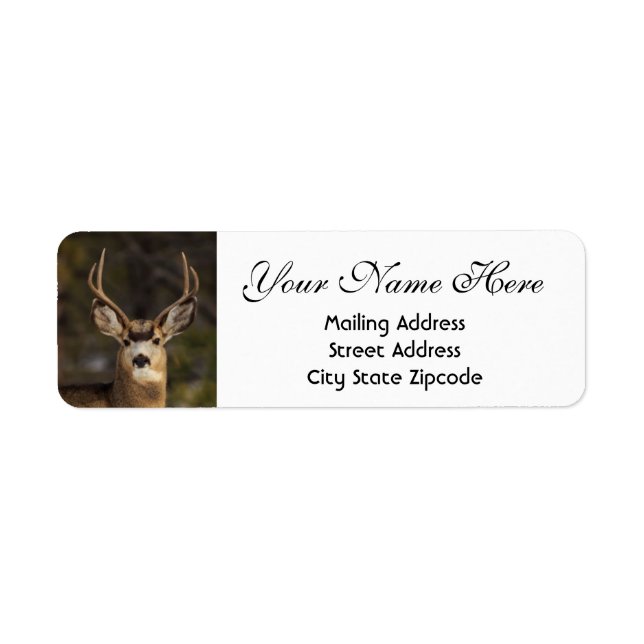 Deer Return Address (Front)
