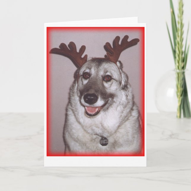 Deer Savannah with red Holiday Card (Front)