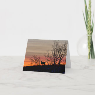 Deer silhouette at sunset blank notecard. thank you card