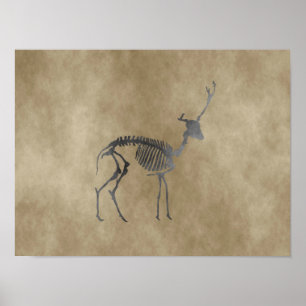 deer skeleton poster