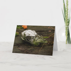 Deer Skull Notecard