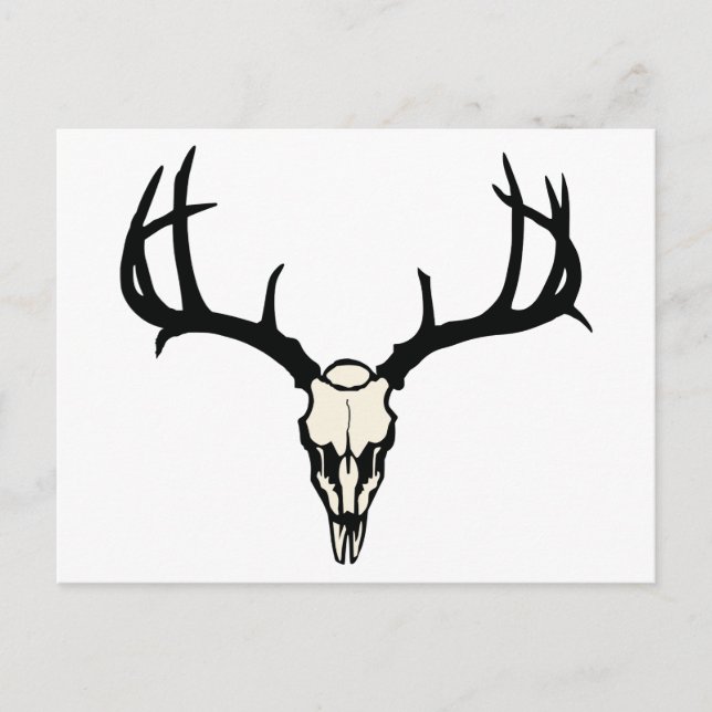 Deer Skull Postcard (Front)