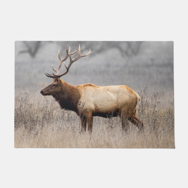 Deer Stag Animals Wildlife Nature Buck Doormat (Front)