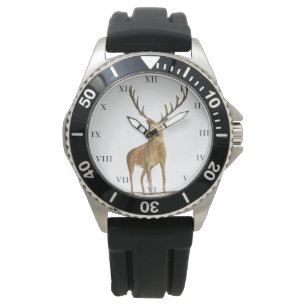 Deer Stag Antlers Animal Hunter Nature Watch