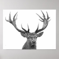 Deer Stag Black White Cabin Style Modern Poster