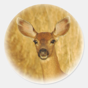 Deer Stickers