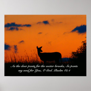Deer Sunset Poster