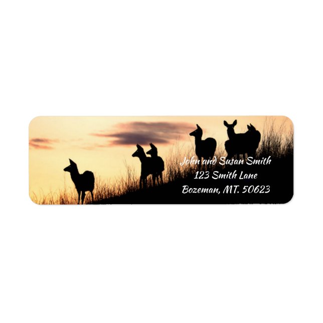 Deer sur Hillside au coucher du soleil Adresse de  (Devant)